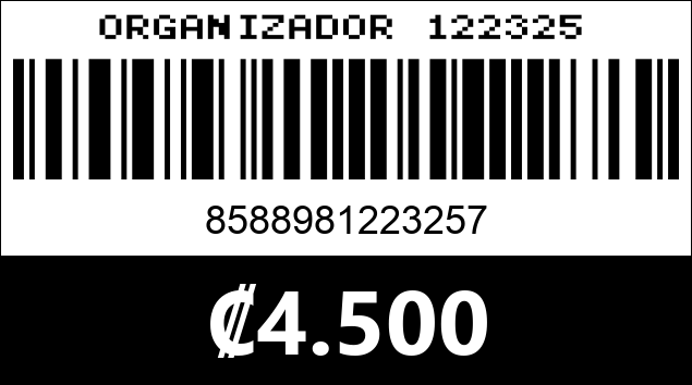 Código de barras de ORGANIZADOR 122325