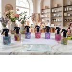 PERFUME DE CABELLO 0697