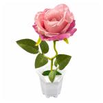 FLORERO BT-38