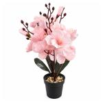 FLORERO BT-29