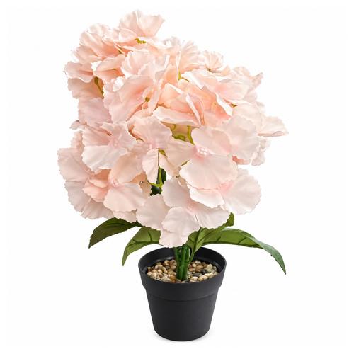 FLORERO BT-54