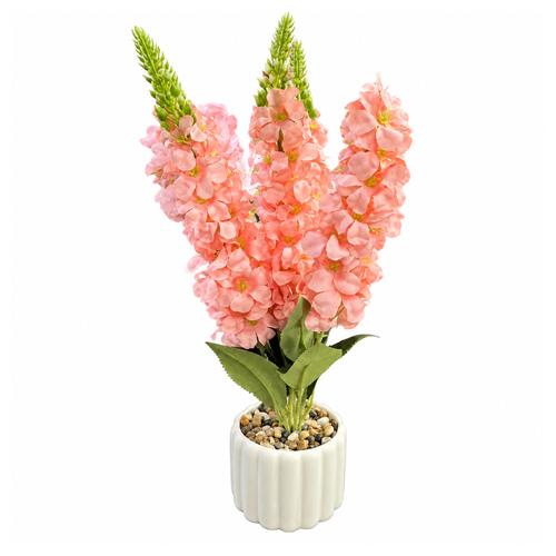 FLORERO BT-53