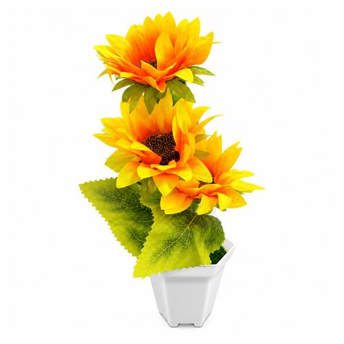 FLORERO BT-36