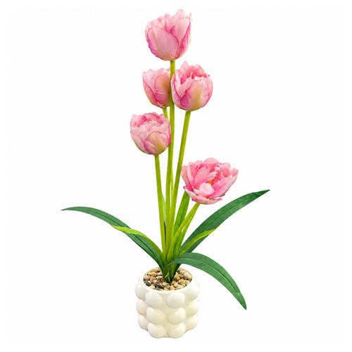 FLORERO BT-55