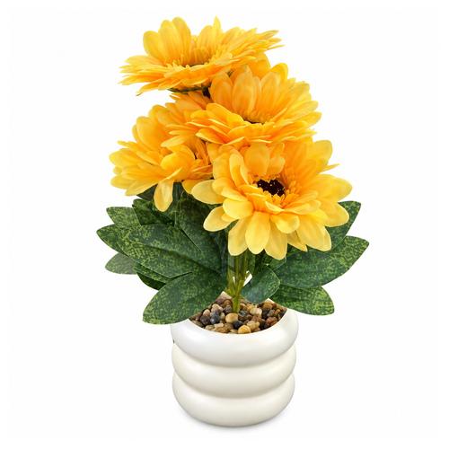 FLORERO BT-26