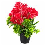 FLORERO BT-43