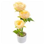 FLORERO BT-27