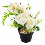 FLORERO BT-50