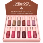 KIT DE LABIAL 12PCS KEVINYCOCO. KC1610